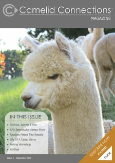 Camelid Connections Issue 5 SEPT 2018 WEB2.pdf