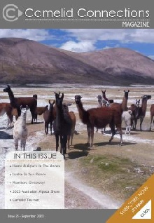Camelid Connections Issue 25 WEB.pdf