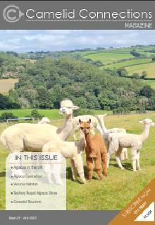 Camelid Connections Issue 24 WEB.pdf