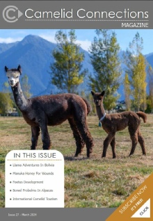 Camelid Connections Issue 27.pdf