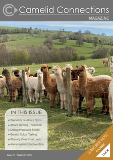 Camelid Connections Issue 17 WEB.pdf