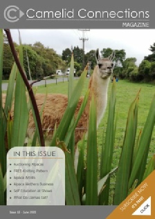 Camelid Connections Issue 12 Web Final.pdf