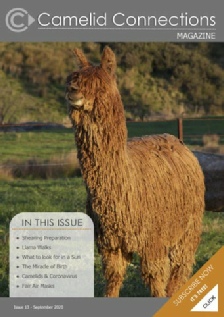 Camelid Connections Issue 13 WEB.pdf