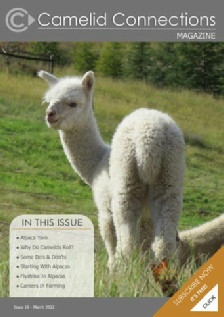 Camelid Connections Issue 19 March 2022.pdf