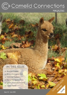 Camelid Connections Issue 16 WEB.pdf