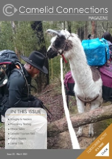 Camelid Connections Issue 23 WEB.pdf