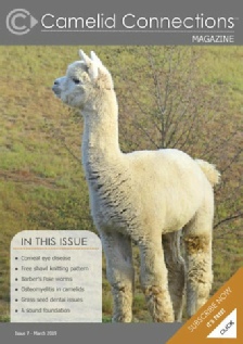 Camelid Connections Issue 7 WEB.pdf