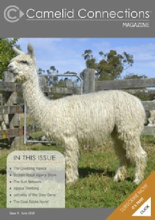 Camelid Connections Issue 4 Updated 2.pdf