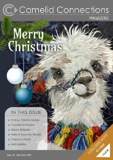 Camelid Connections Issue 14 WEB..pdf