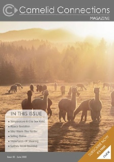Camelid Connections Issue 20 WEB.pdf