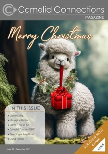 Camelid Connections Issue 22 WEB.pdf